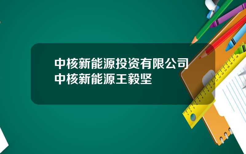 中核新能源投资有限公司 中核新能源王毅坚